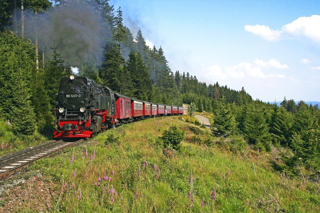 Ringhotel Weisser Hirsch Wernigerode Ngoại thất bức ảnh